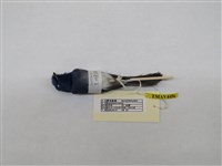 藏品(黑枕藍鶲)的圖片